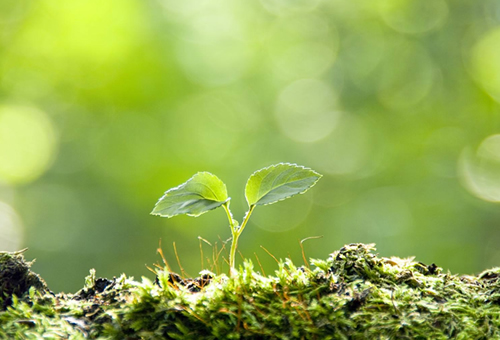 中肥钾业（青海）有限公司